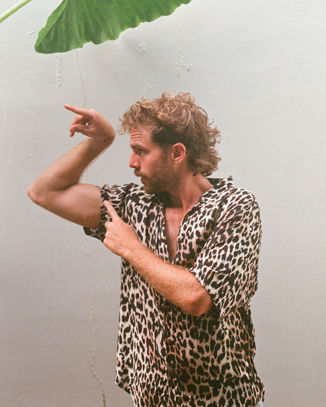 chemise sauvage imprimé lion léopard cougar kacang
