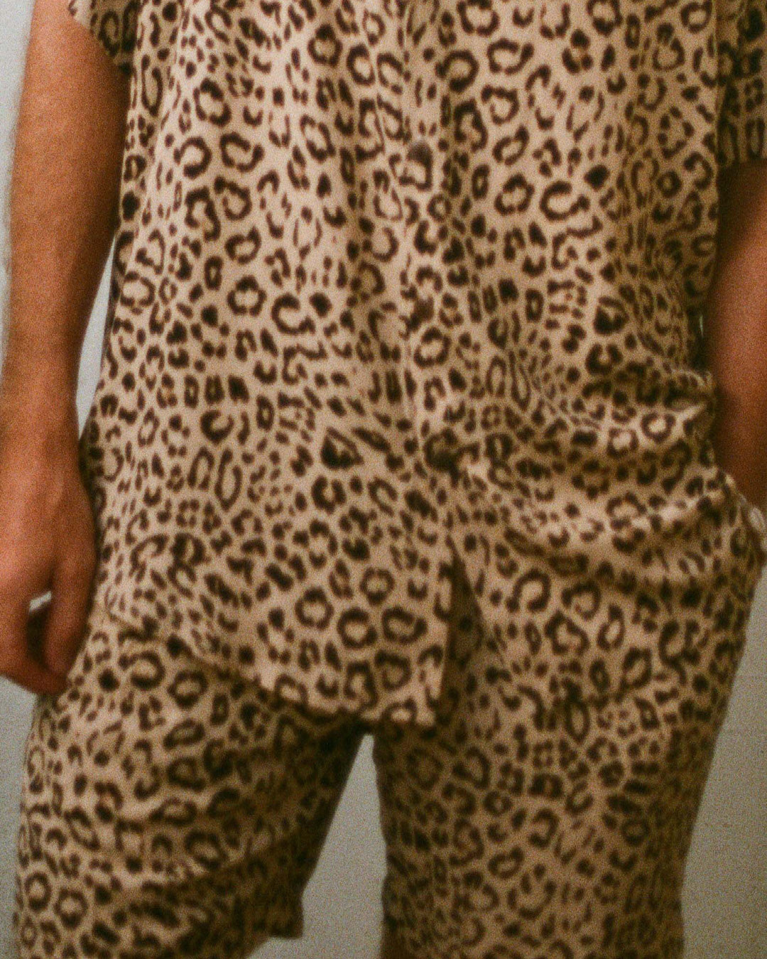 short peau léopard guépard
